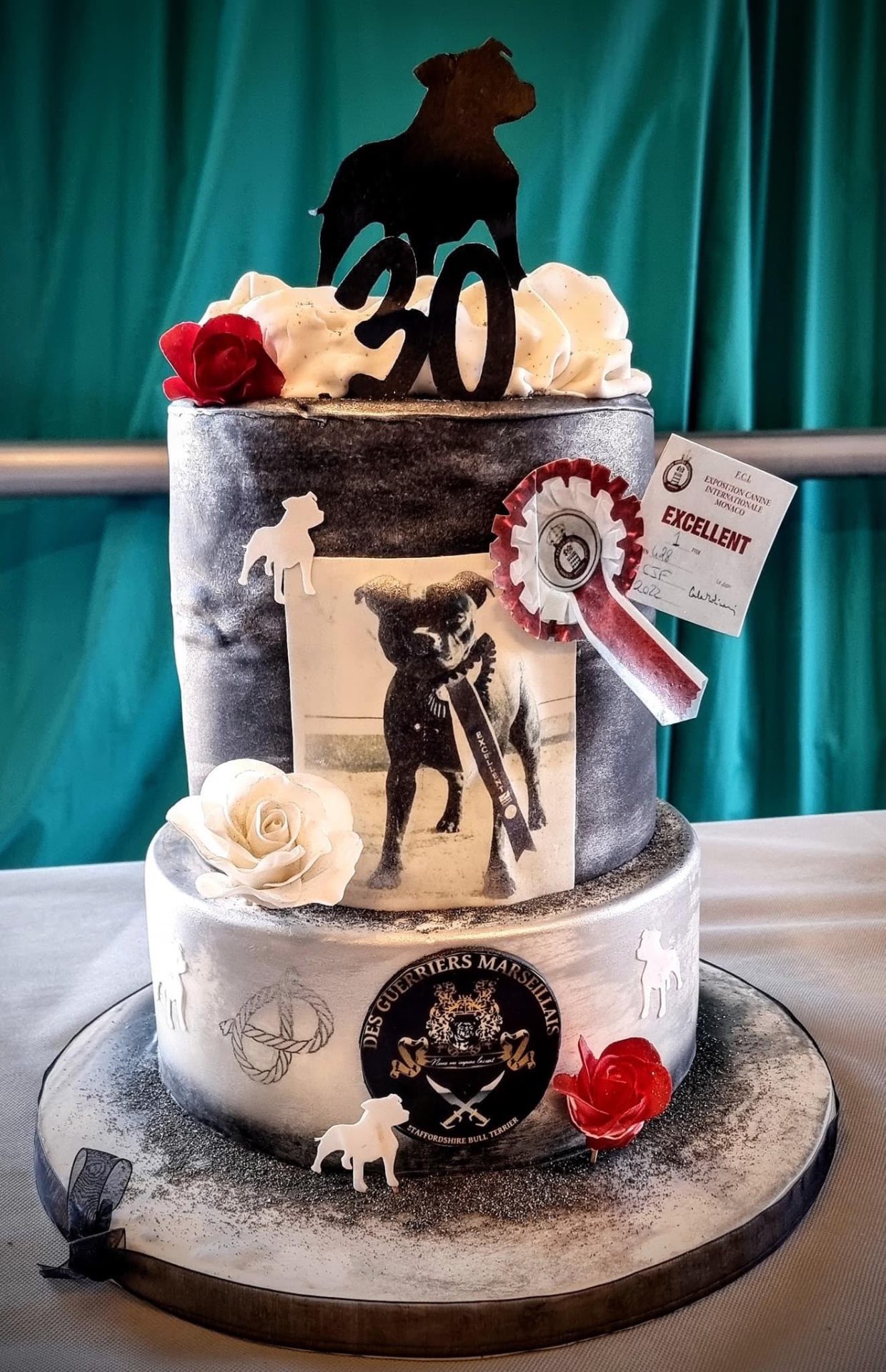 Gâteau Staffordshire Bull Terrier — 20 ans du club